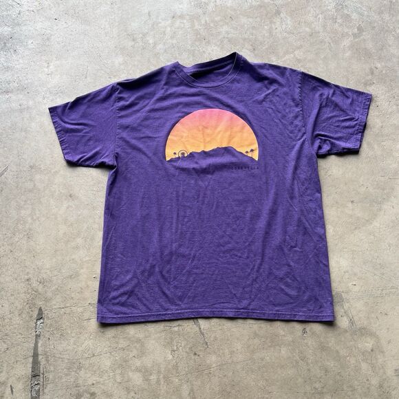 Coachella T Shirt Merchandise 2013 purple Mens size L - Picture 1 of 4
